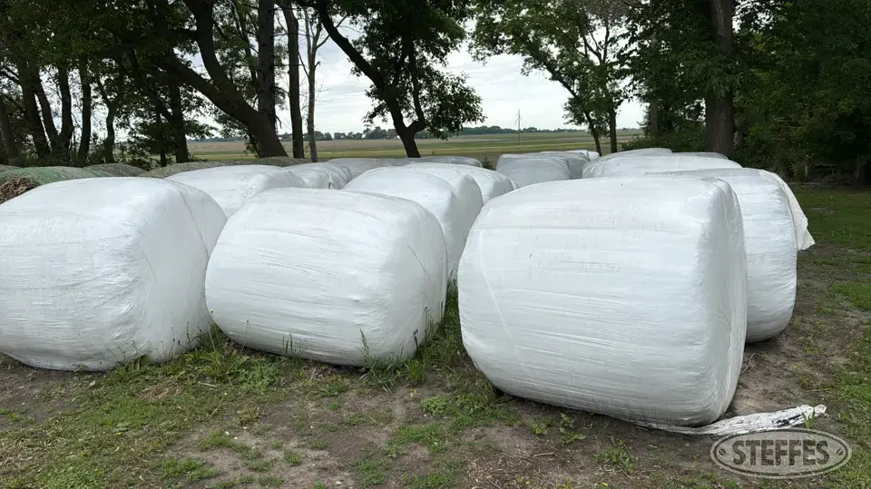 (29 Bales) 5x5 round Forage