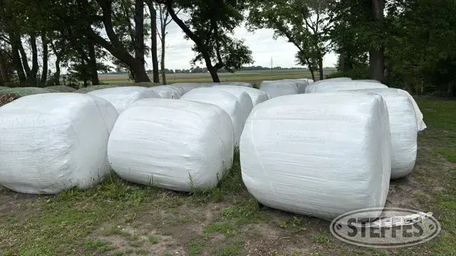 (29 Bales) 5x5 round
