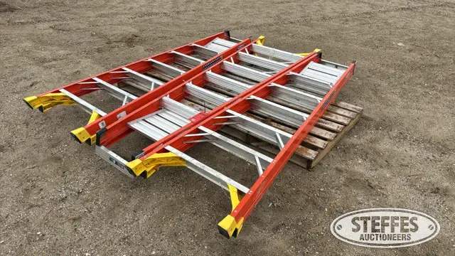 (3) Werner step ladders