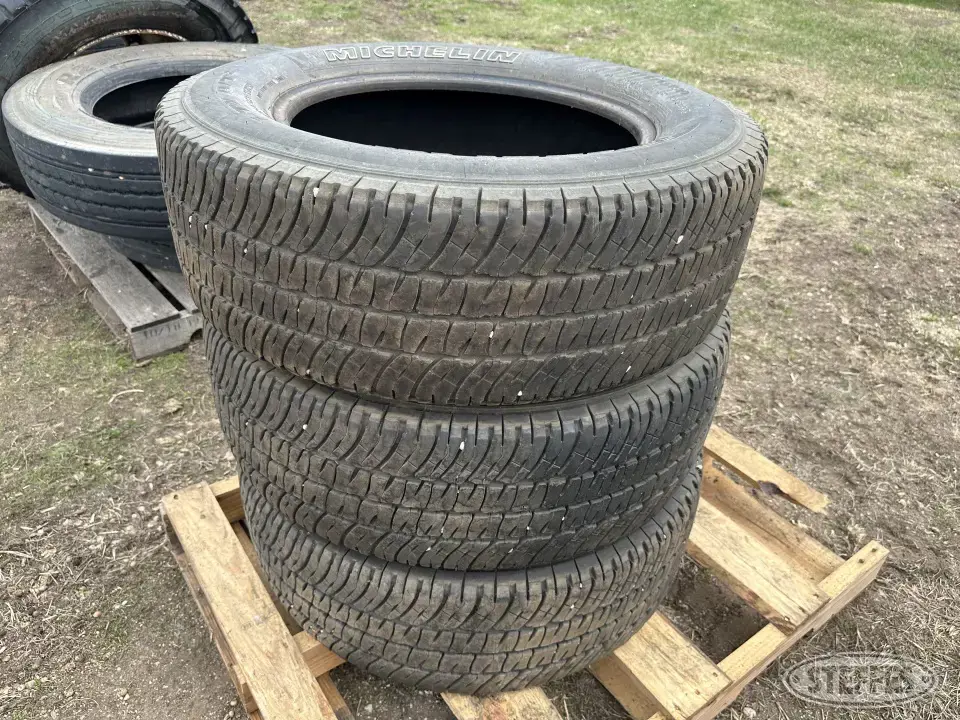 Michelin Passenger-Light Truck Tire