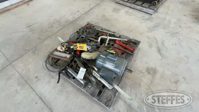 Dayton Electric Motor & DeWalt Buffer