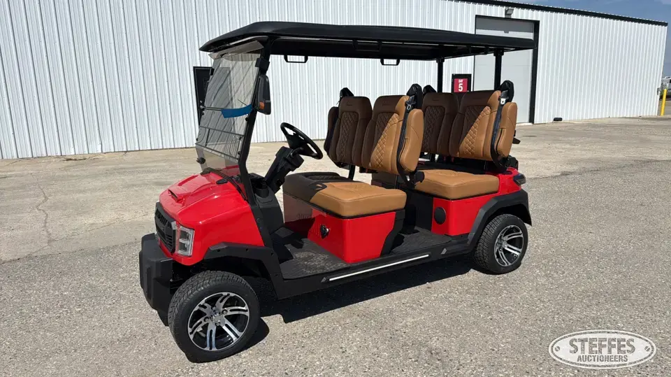 2025 Custom Drive GT290-480 Golf Cart