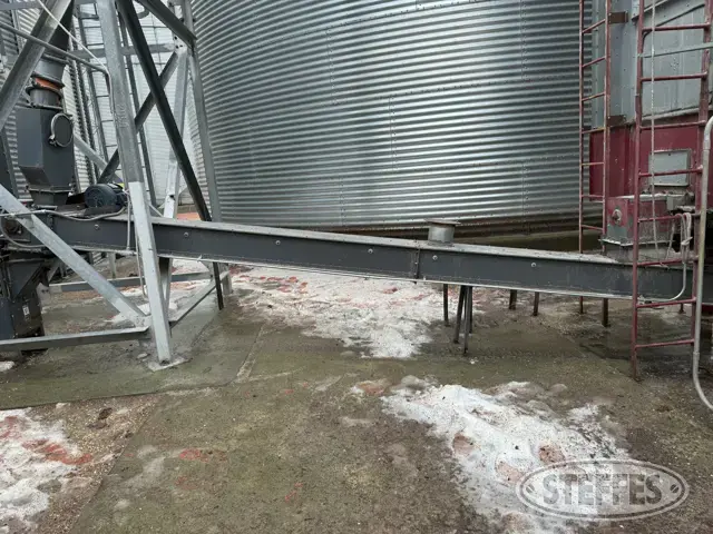 Paddle conveyor
