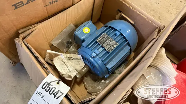 WEG electric motor