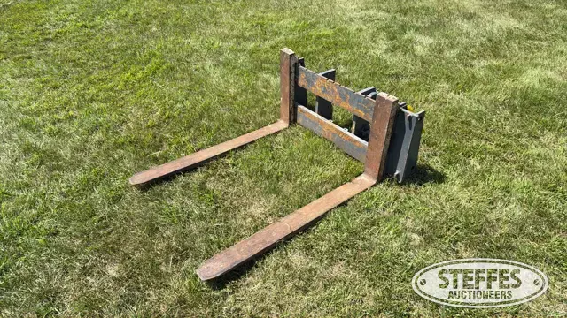 Pallet forks