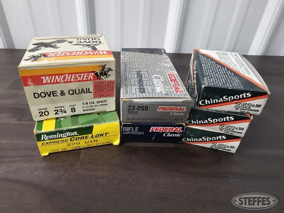 Assorted Ammo