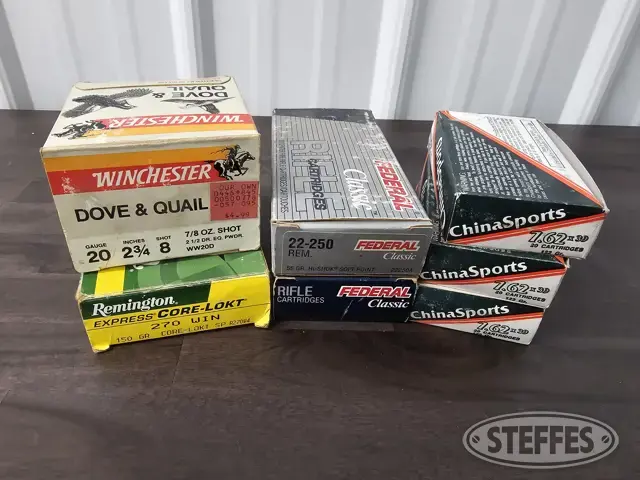 Assorted Ammo