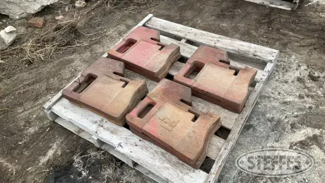 (10) International Suitcase Weights