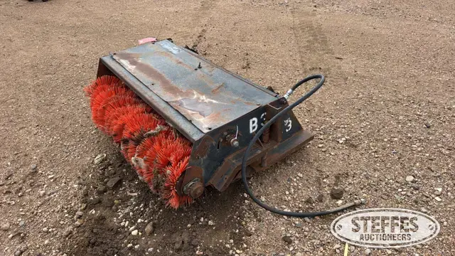 Bobcat