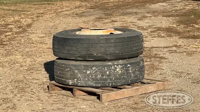 Bridgestone R268
