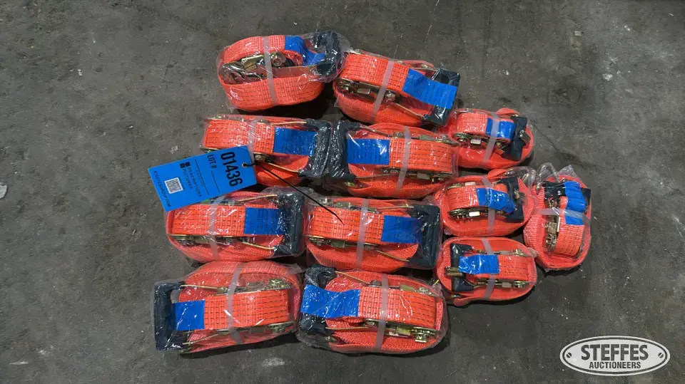 (12) Ratchet straps General Tools and Shop Supply