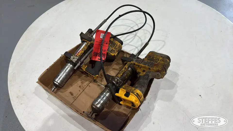 (2) DeWalt grease guns General Tools and Shop Supply