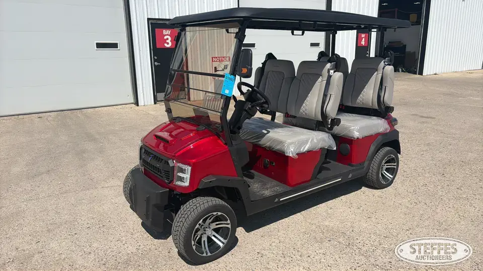 2025 Custom Drive GT290-480 Golf Cart