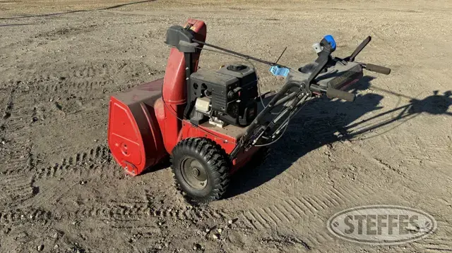 Toro 38838