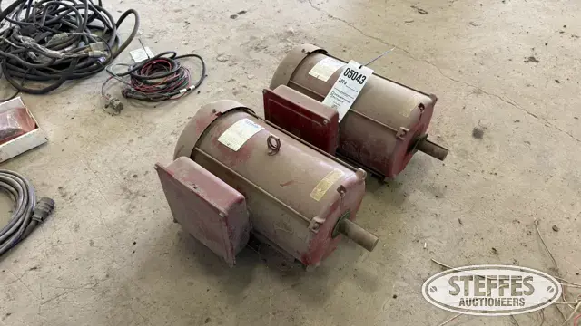 (2) Leeson electric motors