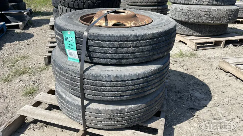Double Coin Truck Tire