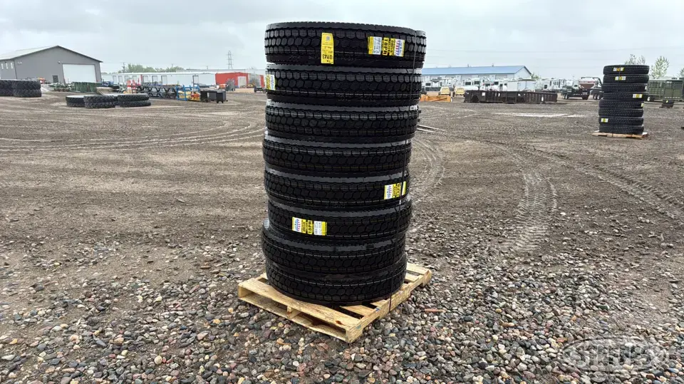 (8) Zwarthz 11R24.5 tires Truck Tire
