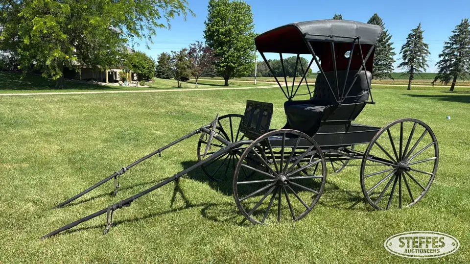 Horse drawn buggy