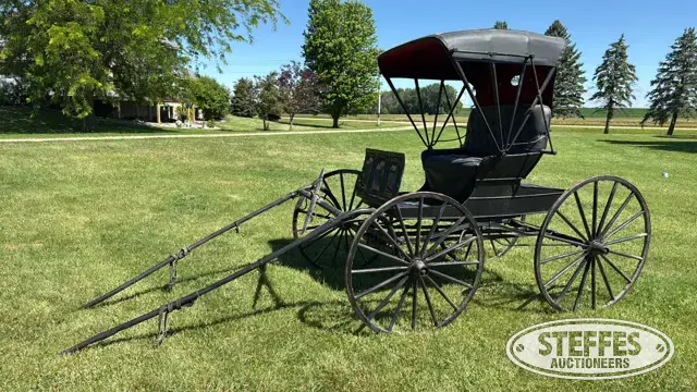 Horse drawn buggy