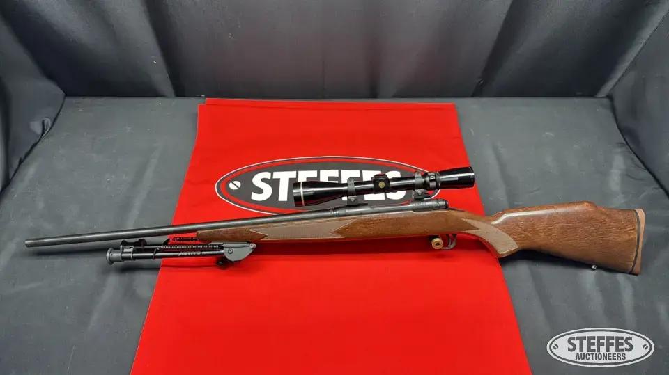 Savage Model 10 Rifle