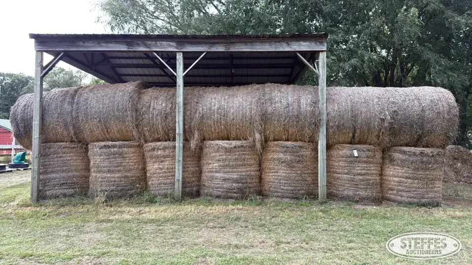 (36) Alfalfa round bales Forage