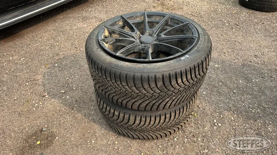 (2) Falken Eurowinter 275/40R20 tires Passenger-Light Truck Tire