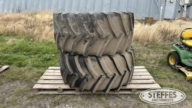 (2) New Advance 30.5L-32 tires