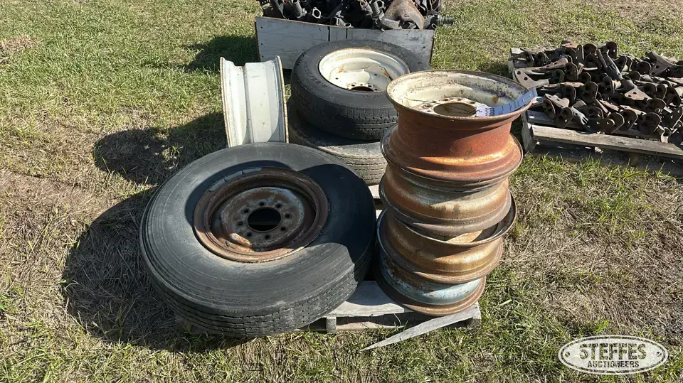 Tires & wheels Passenger-Light Truck Tire