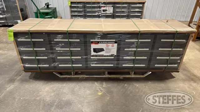 2025 TMG WB20D