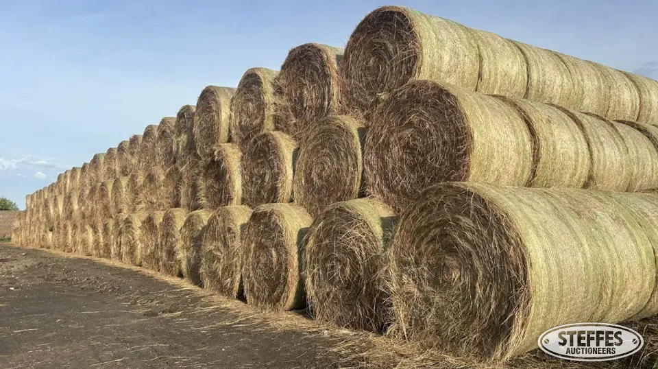 (70 Bales) round (4'x65") Forage