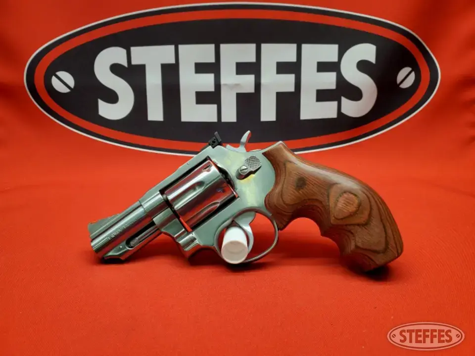 Taurus Model 66 Modern Handgun