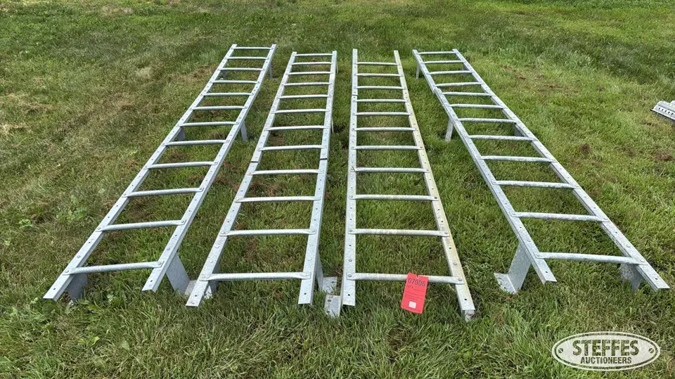 Grain bin ladders Bin Accessory