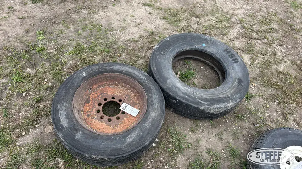 (2) Tires Truck Tire