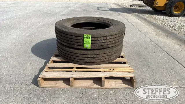 (2) Bridgestone R250 9R22.5 tires