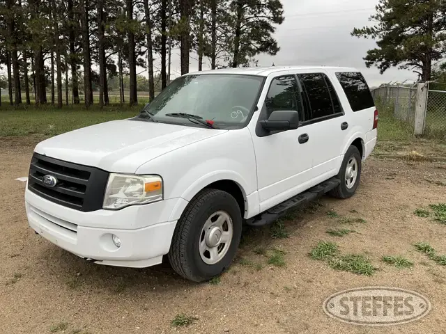 2009 Ford Expedition
