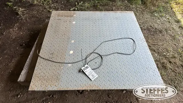 Scale