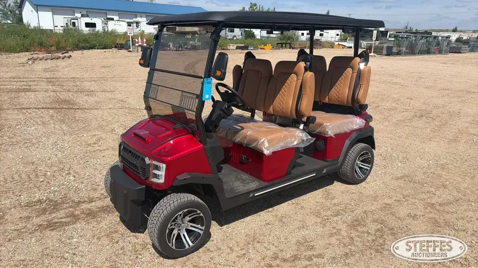 2025 Custom Drive GT290-480 Golf Cart