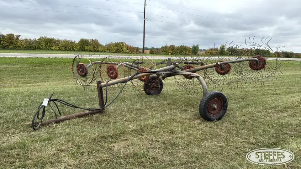 Side delivery rake