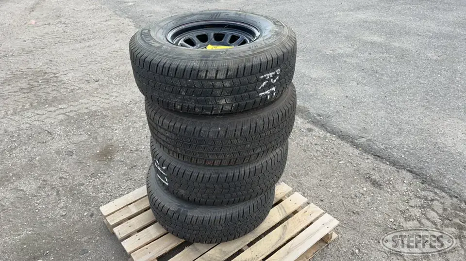 Michelin Defender Passenger-Light Truck Tire