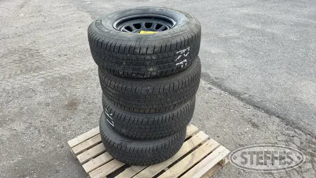 Michelin Defender
