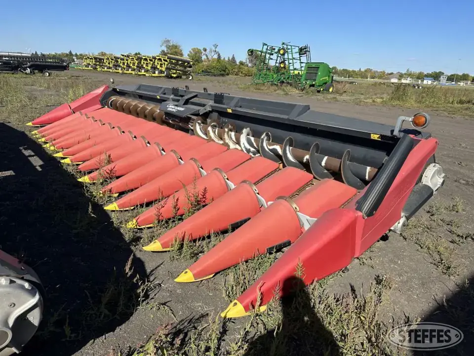 2007 Geringhoff RD1600/B Corn Head