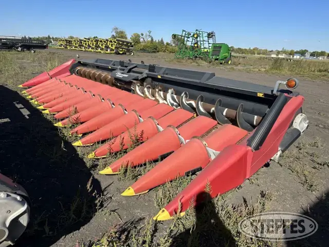 2007 Geringhoff RD1600/B