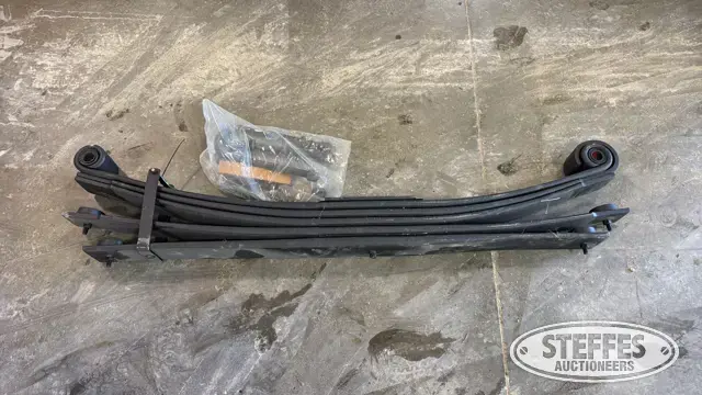Power 10 leaf spring