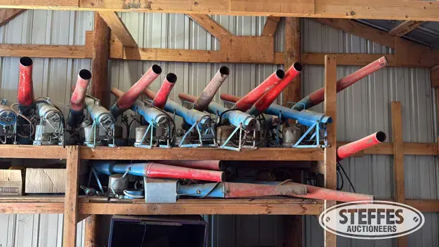 (30) Thunderbird Scare-away bird cannons