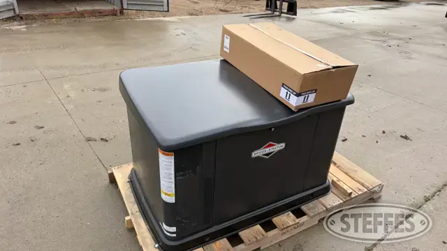 2022 Briggs & Stratton 040336