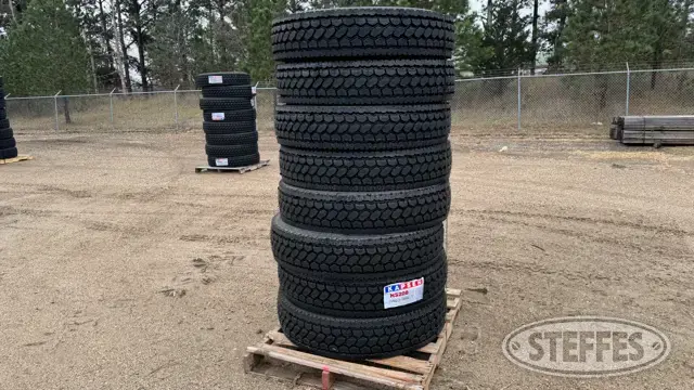 (8) Kapsen HS208 11R22.5 tires