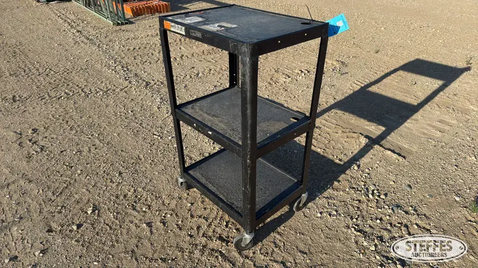 3-tier cart Storage and Bench
