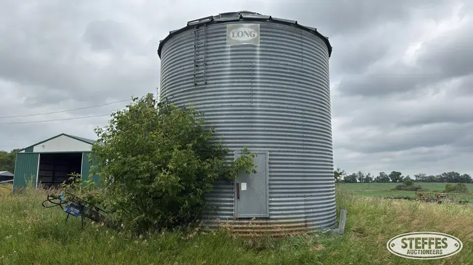 Long grain bin