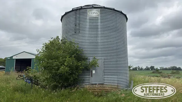 Long grain bin