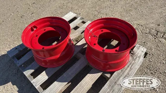 (2) 16.5”x9.75” skid steer wheels
